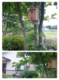 20160617111551503.jpg