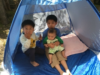 20180429113354359.jpg