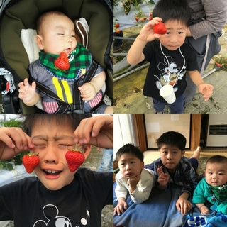 20180501225015247.jpg