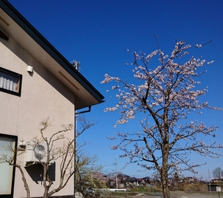 20190420132906400.jpg