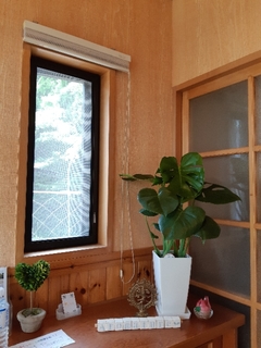 20190527170611245.jpg