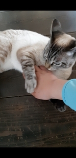 20190604213516298.jpg