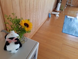 20190703210525202.jpg