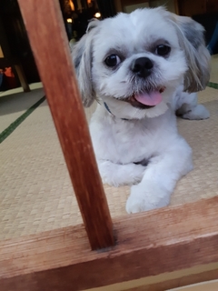 20190808135936238.jpg