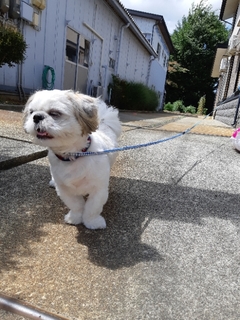 20190815172751840.jpg