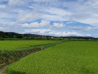 20190829211314685.jpg