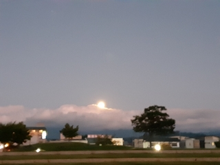20190914061518043.jpg