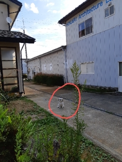20191010070709862.jpg