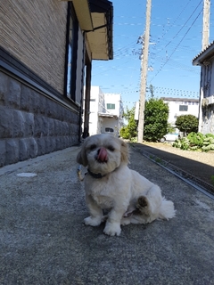 20200603180943052.jpg
