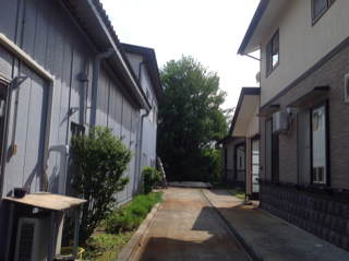 A0DD885A-864B-454D-876A-2C8968197428.jpg